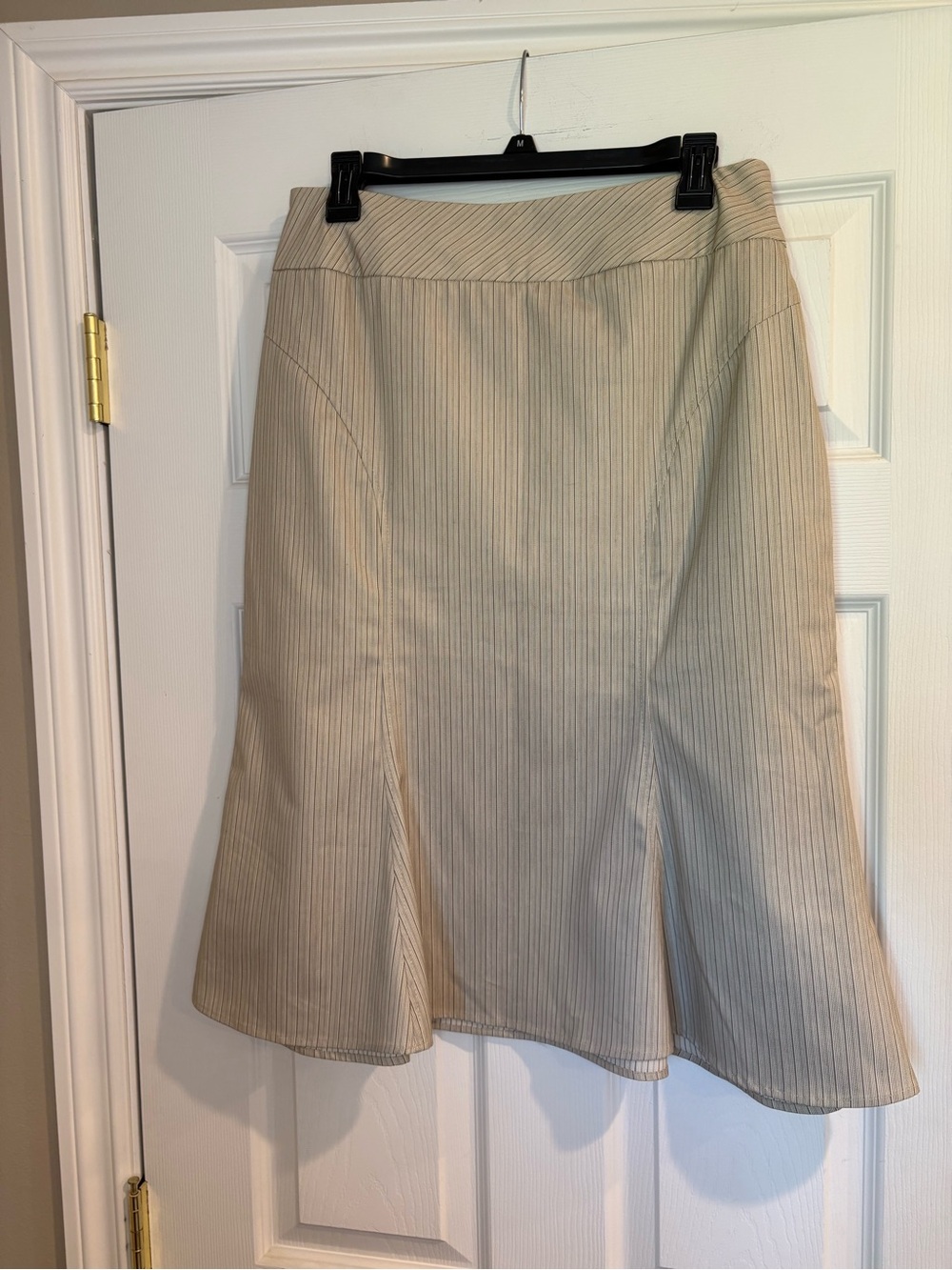 Sunny Leigh Cream Pinstripe A-Line Skirt